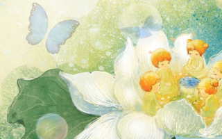 蓮の実レンちゃんの旅